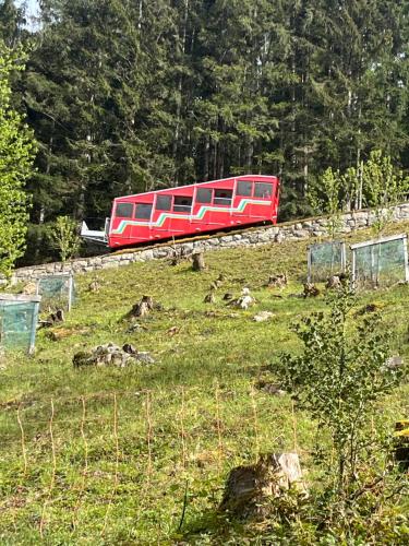 Appartement Seelewärmerli - Balsam für Ihre Seele