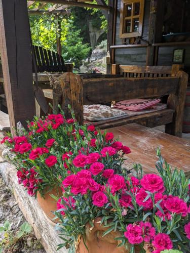 Eco Lodge Gradac in Popare