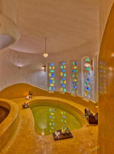 Instalaciones, The Earth at Ranthambore in Ranthambore