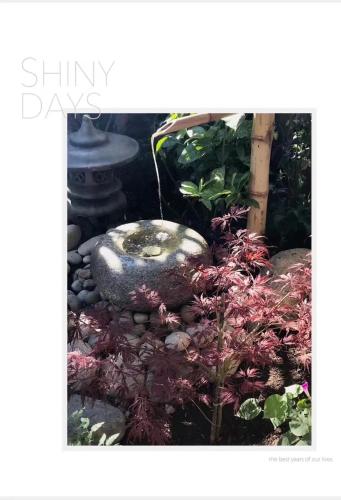 Scorpio House Langley ROOM B