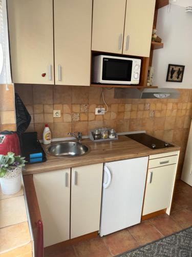 Belgrade Garsonjera Zvezdara 4-Star Single Room view