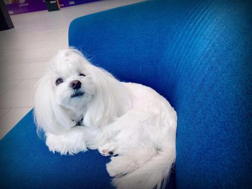 Scorpio House Langley ROOM B