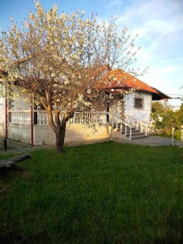 Viesnīcas āriene, Chalkidiki Secret Garden in Paralia Epanomis