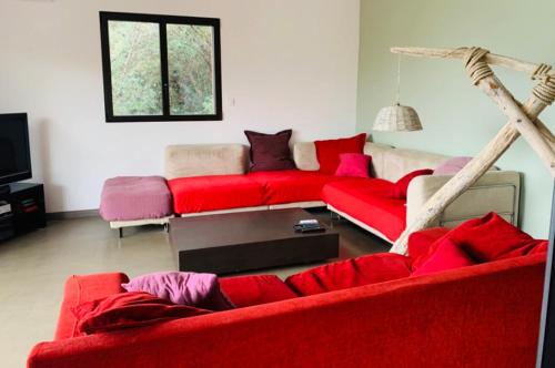 Les 2 anes in Casaglione