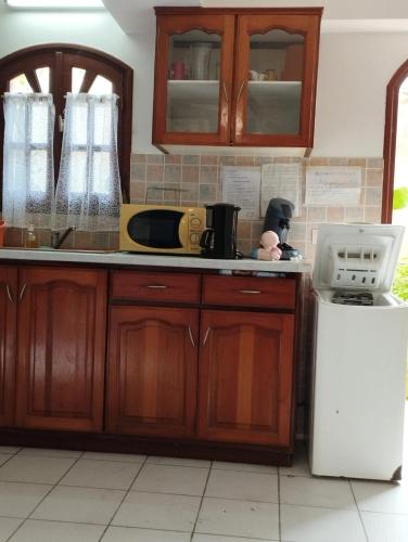 Kitchen, Studio charmant au Moule avec jardin de 35 m² et barbecue in Le Moule