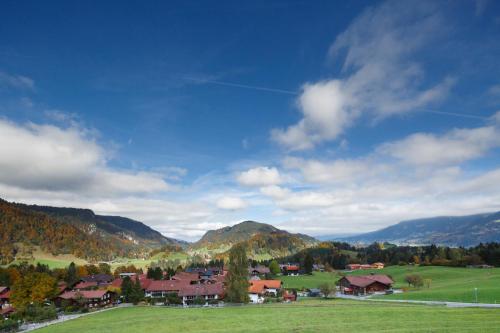 Ringhotel Nebelhornblick - image 4