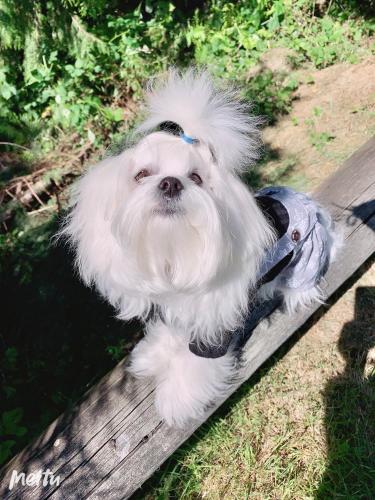 Scorpio House Langley ROOM B