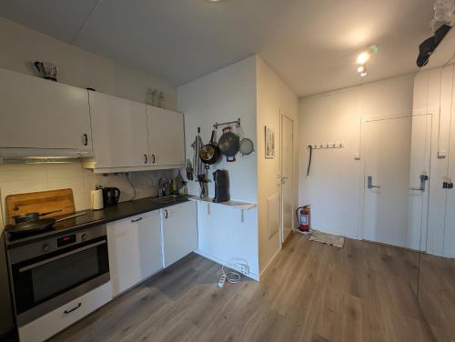 Spacious and cozy studio apartment with balcony in Sagene