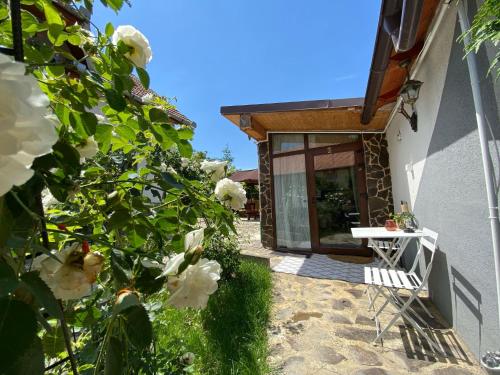Cazare La Luiza b in Şura Mare