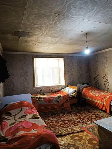 Hostel Arzu in 穆爾加布