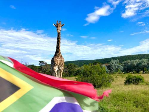 Areena Riverside Resort