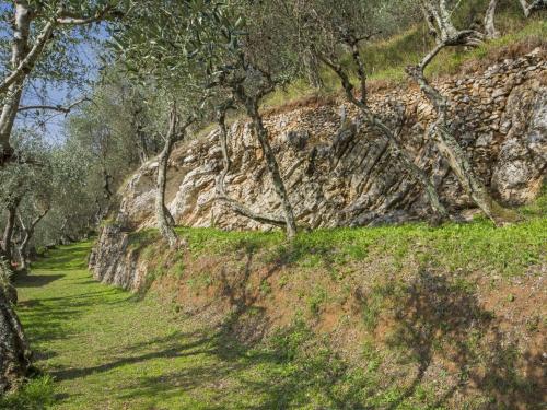 Holiday Home La Capannella by Interhome