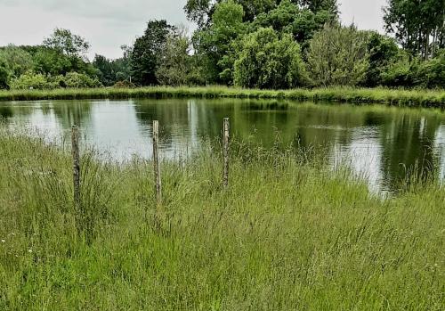 La Graule Farmhouse Self Contained Appartment - Armillac