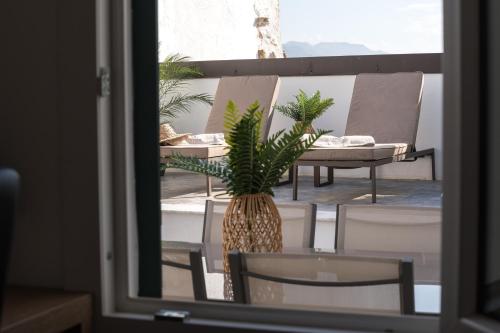 La Duca Suites & Apartments, Palermo (fotografie 9)