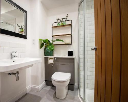 Dream Stays Bath - Haringtons Place, Bath (photo 9)