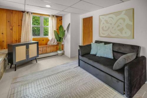 Cozy Dog-friendly Villa off Cayuga Lake In Ithaca in Lansing, USA