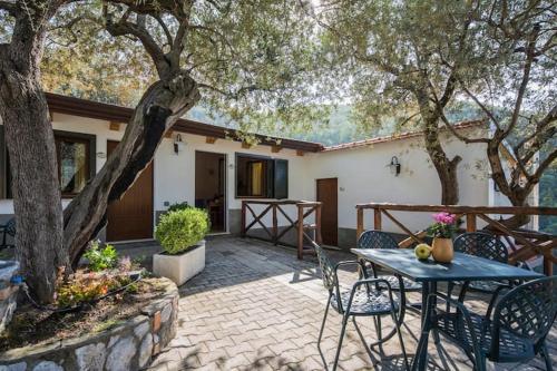 Altan/terrasse, Casa Vacanze Dalisa Ulivo B con Parcheggio in Tramonti