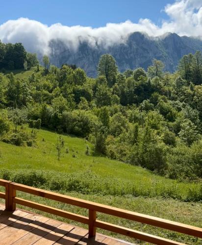 View, Rosehip camp in Dimitrovgrad