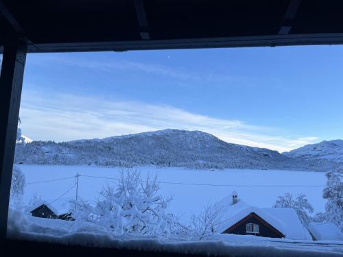 Cozy cabin with a view