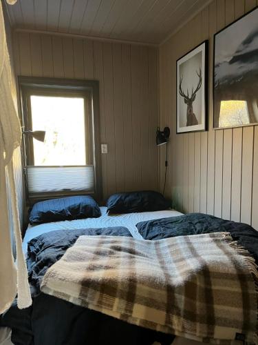 Cozy cabin with a view