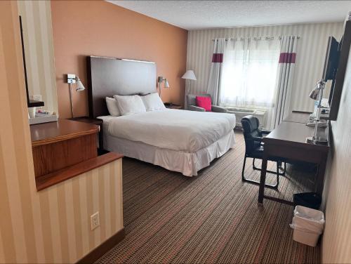 King Room - Disability Access