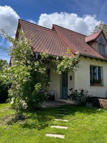 Studio de charme avec terrasse privée, jardin partagé