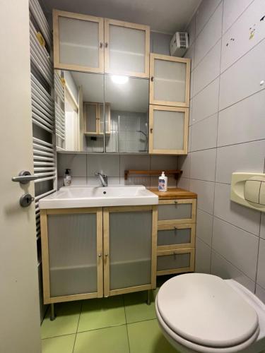 Oasis Atrium Apartment with free parking, Lublaň (fotografie 10)