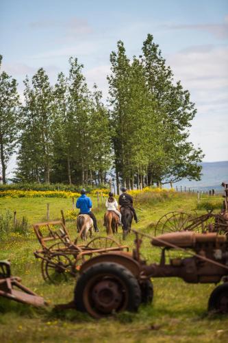 Farmhotel Efstidalur - image 6