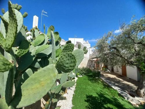 Trullo Vacanza