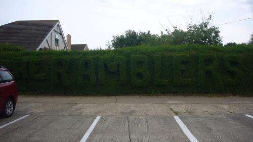 The Ramblers - main image