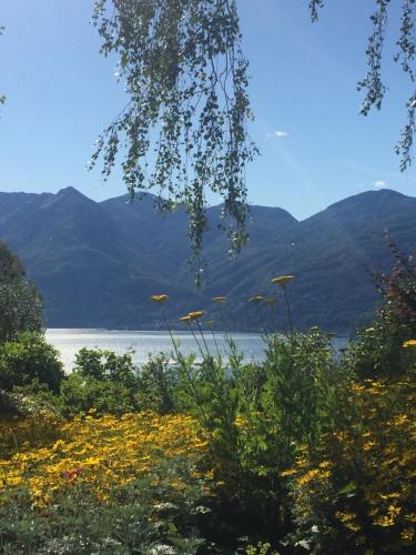 Casetta in giardino con piscina, Luino (foto 9)