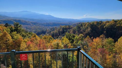 Bearly Wait in Gatlinburg, USA