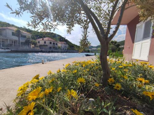 Apartments with hot tub Rogotin, Neretva Delta - Usce Neretve - 23141 in Banja