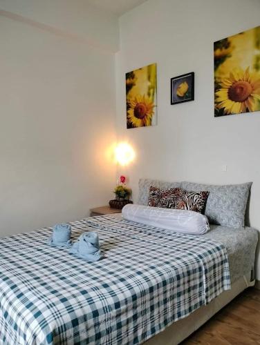 Jaymorts Home Jaymorts Home