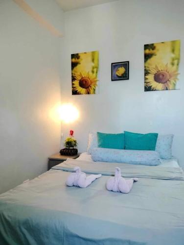 Jaymorts Home Jaymorts Home