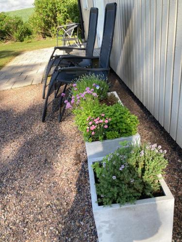 Slimmingegarden 1019 near 말뫼 공항