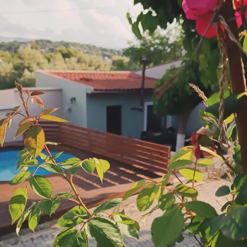 Rose Hedge: mountain rustic cottage gîte à louer Khónos