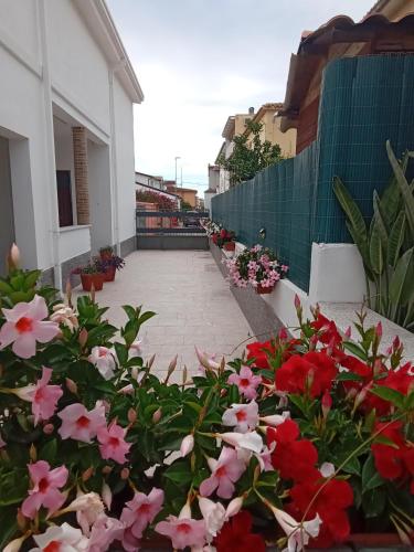  Casa Vacanze da Claudio&Kevin in Posada