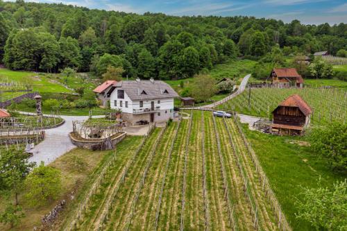 Vineyard Homestead Vrtin - Happy Rentals