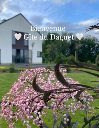 Le Daguet gîte à louer Lacuisine