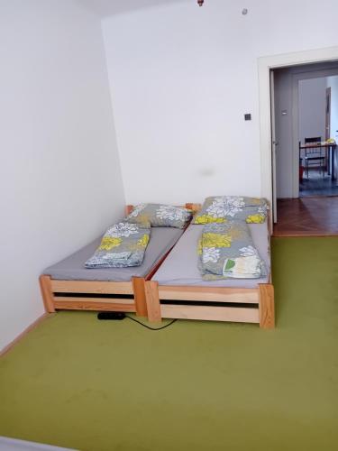 Holub apartment in city centrum