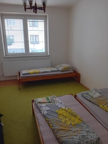 Holub apartment in city centrum