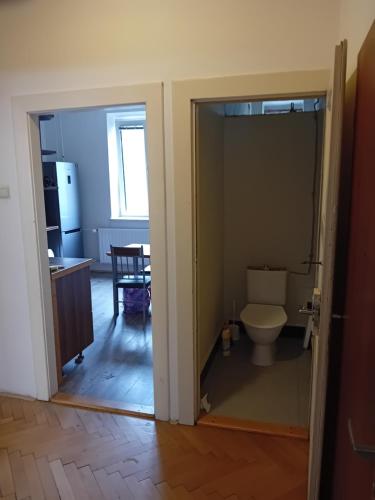 Holub apartment in city centrum