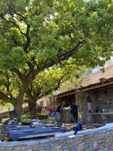 Ktima Velanidies - Guest House, Andros (photo 8)