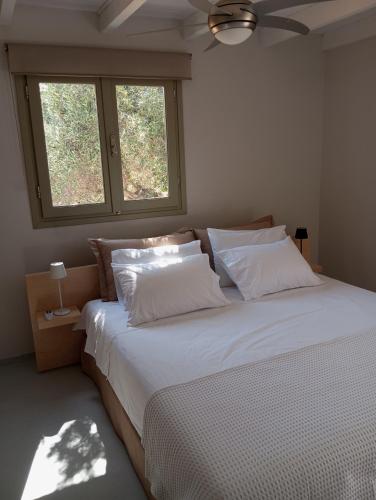 Cottage2Το μεγαλο σπιτι στο Λιβαδι in Vrachasi