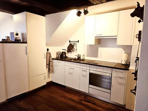 Kitchen, Chalet Happy Cow - Top Lage nahe Bodensee, Rheinfall, Schaffhausen & Zurich - Landliche Idylle mit P in Ramsen