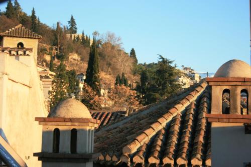 Golondrinas de la Alhambra