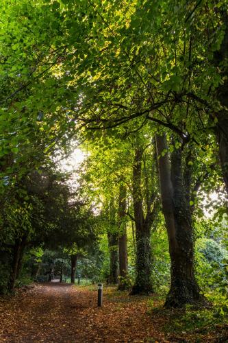 Bosworth Hall Hotel & Spa