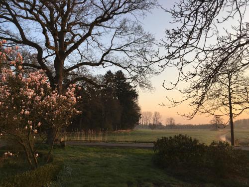 Ferienwohnung am Thalenbusch in Westerstede