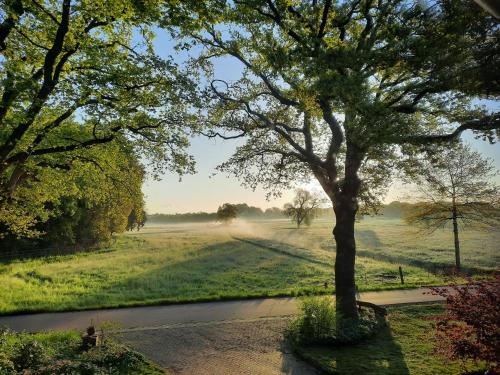Ferienwohnung am Thalenbusch in Westerstede